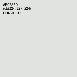 #E0E3E0 - Bon Jour Color Image